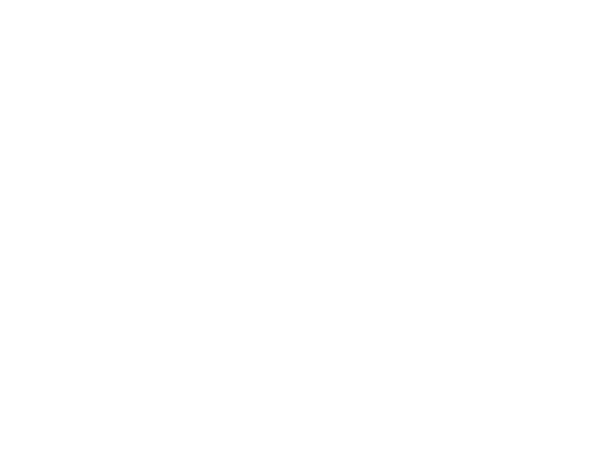 Lon Logo